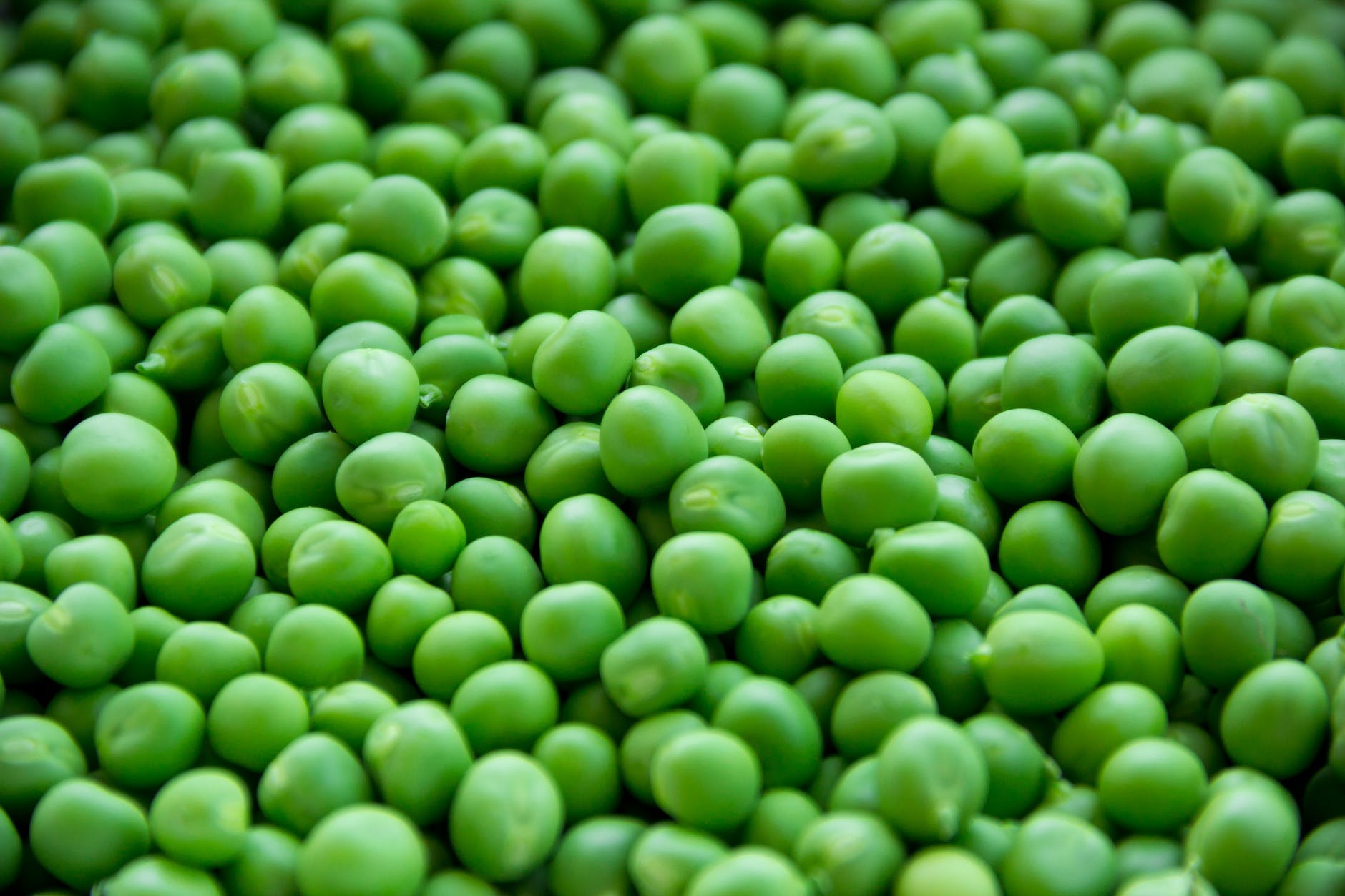 full frame shot of green peas