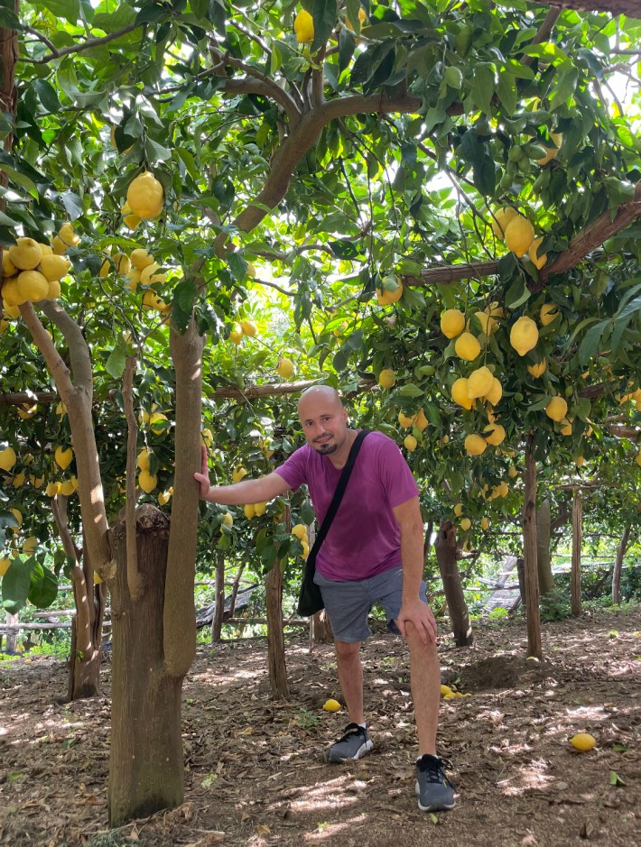 The writer of the story under a lemon tree on the farm he visited on the Amalfi Coast.