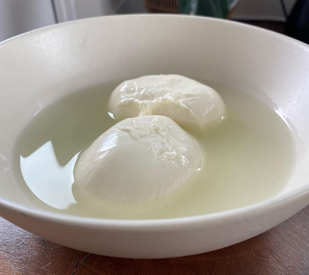 Fresh Burrata.