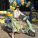 Mandi Casey of Low Country Bella on a foam green Vespa in a floral skirt.