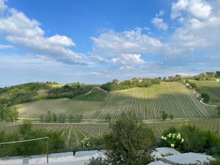 The rolling hills on the property of Palazzo di Varignana.