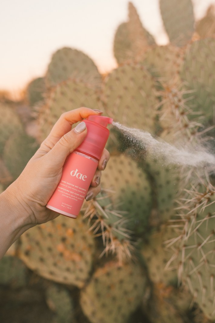 dry shampoo spraying against cacti