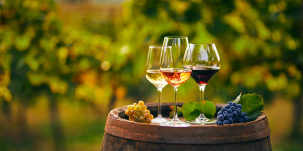 Sustainable wines are a way to celebrate Earth Day.