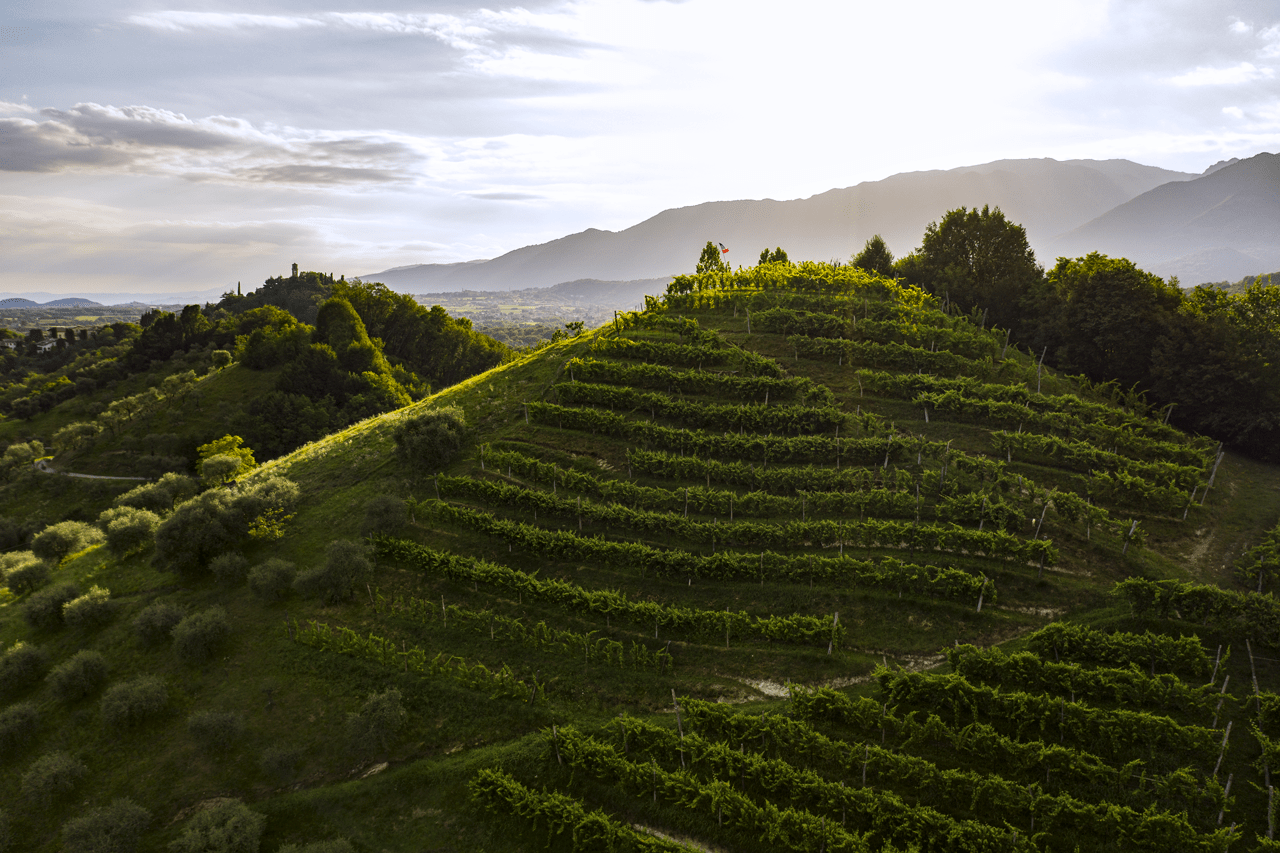 The hills of the Asolo Wine Region.
