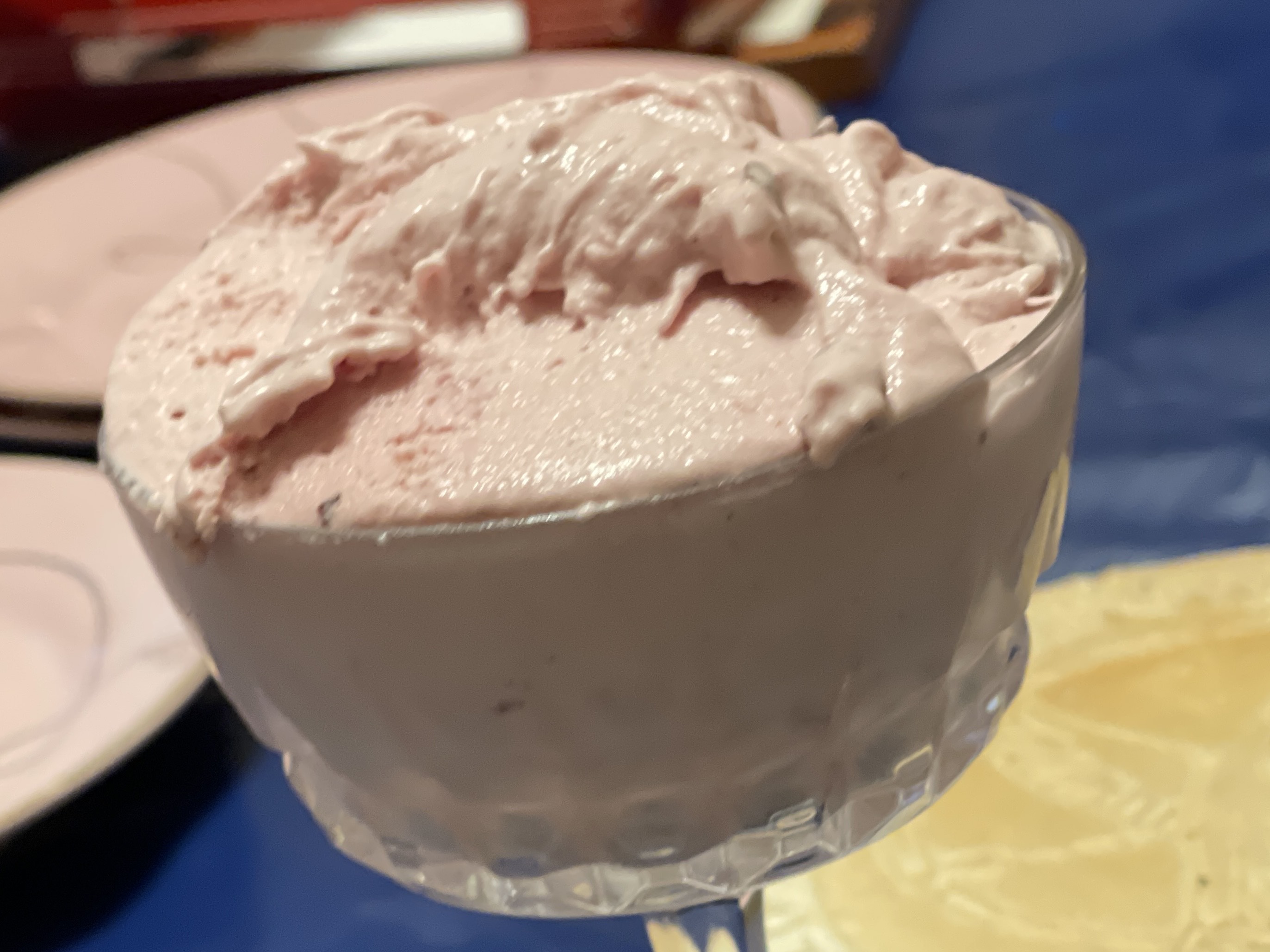 Homemade Plum Gelato.