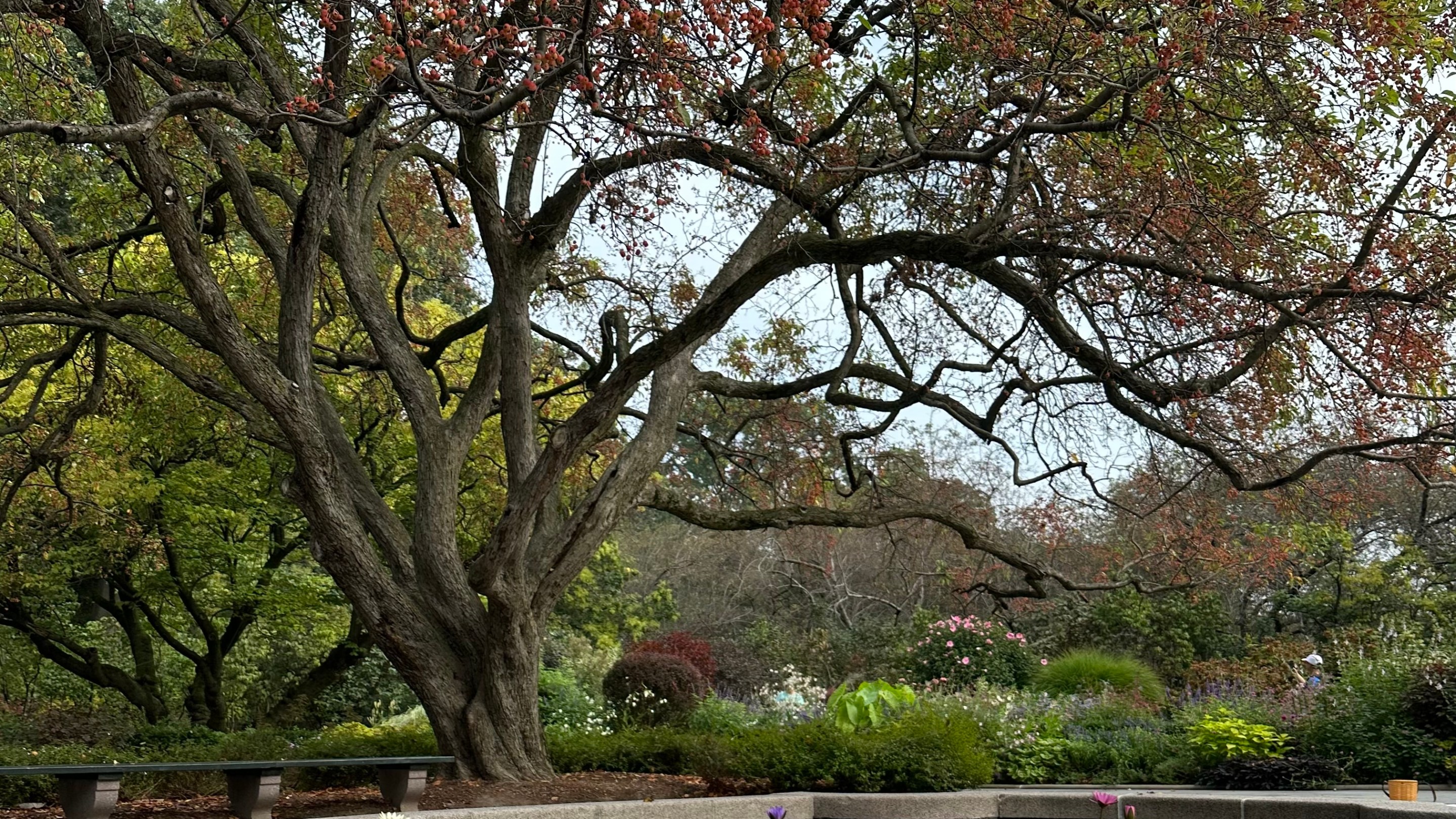Fall is a season to be mindful of your wellness.