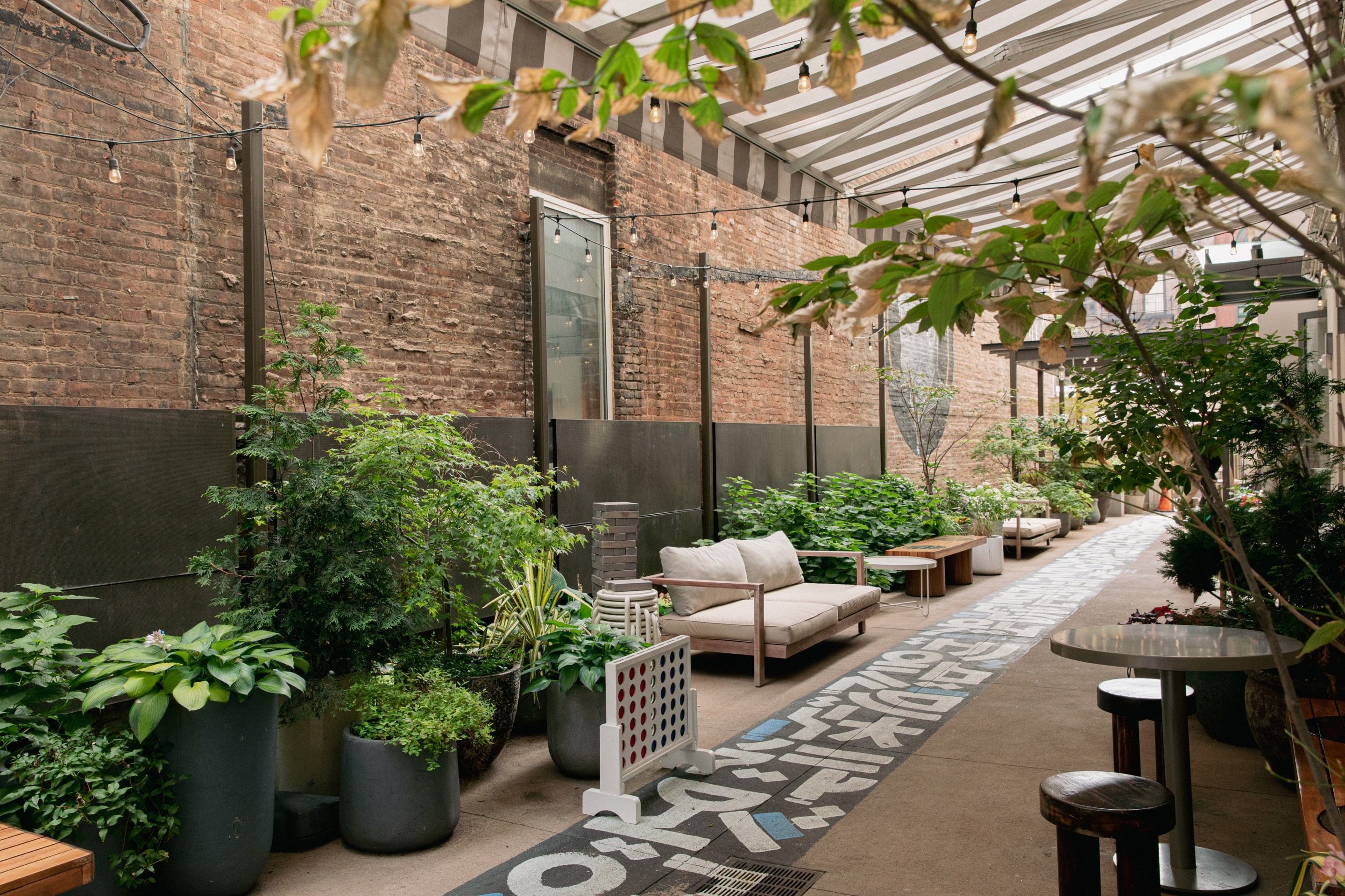 Terrace with plants and sofas