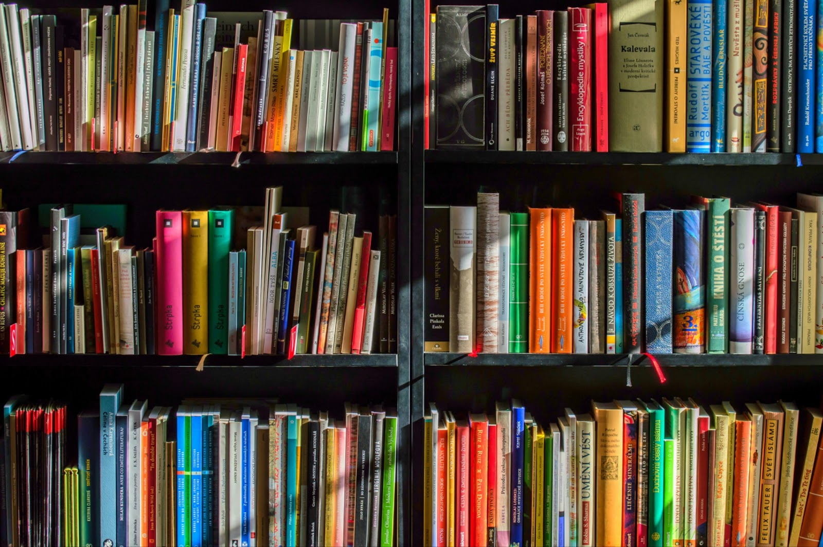 Image of a shelf of Italian books.