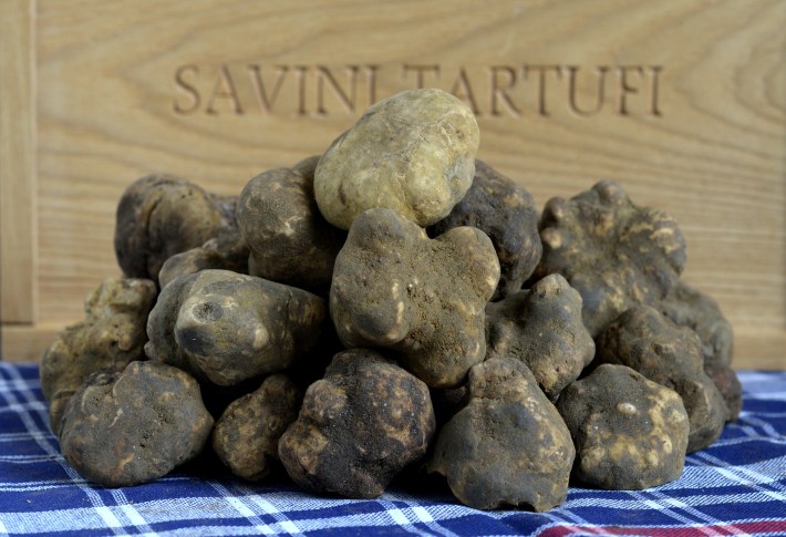 White truffles from the Savini family.