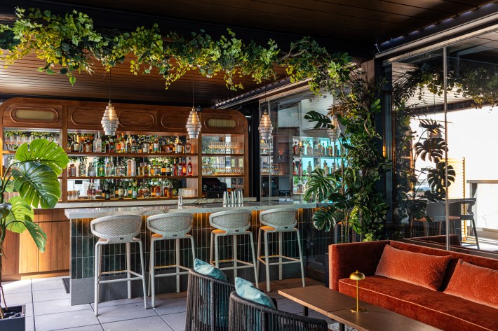 Bar interior with plants