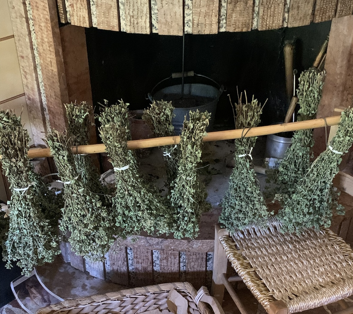 Dried Oregano in a fireplace