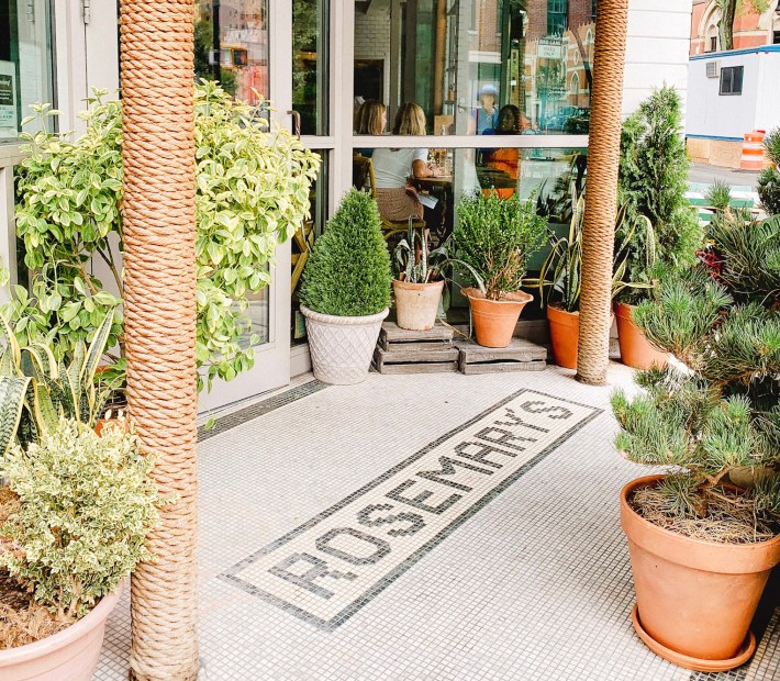 plant-lined entrance to Rosemary's