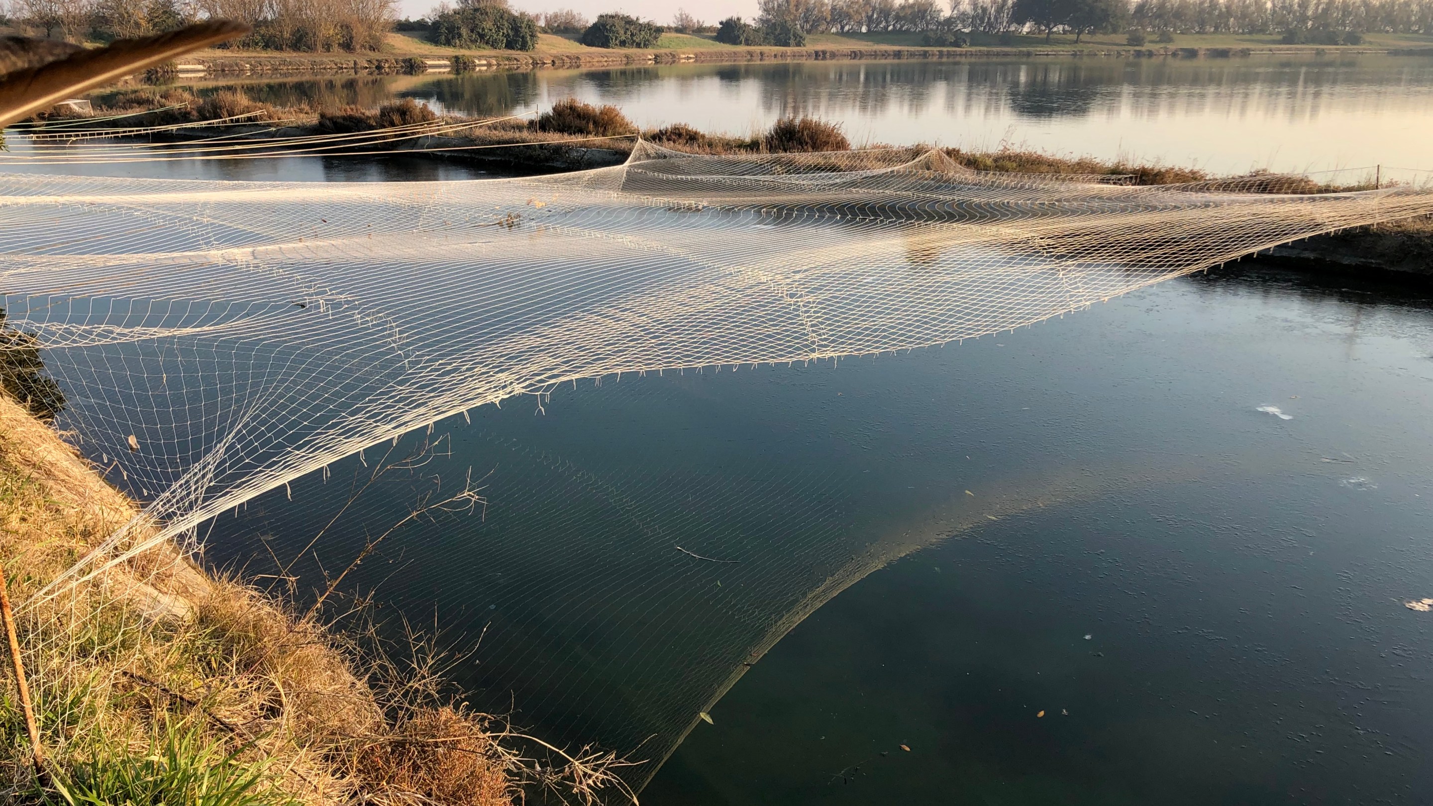 The fishing valleys at Isola Santa Cristina in the Venetian Lagoon.