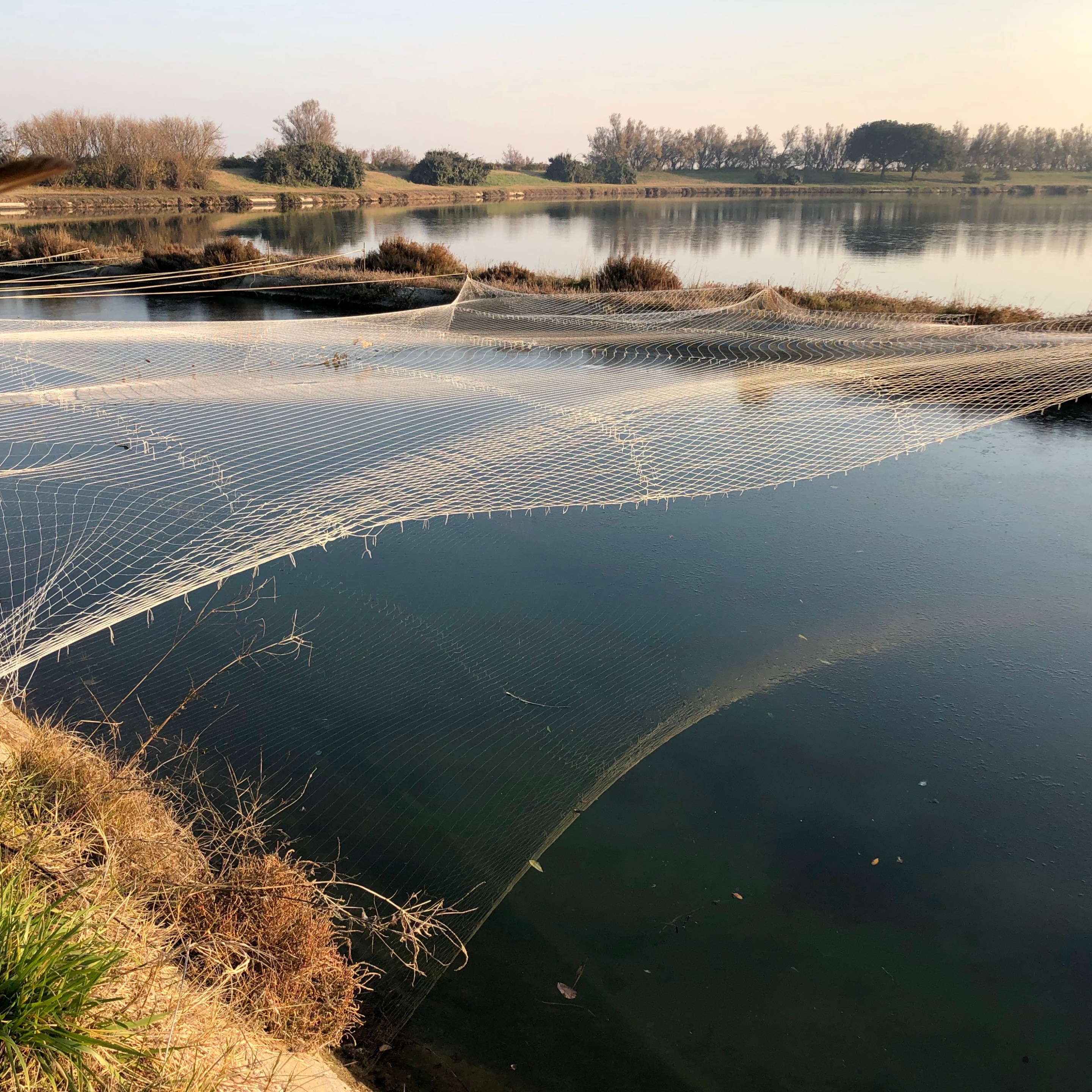 The fishing valleys at Isola Santa Cristina in the Venetian Lagoon.