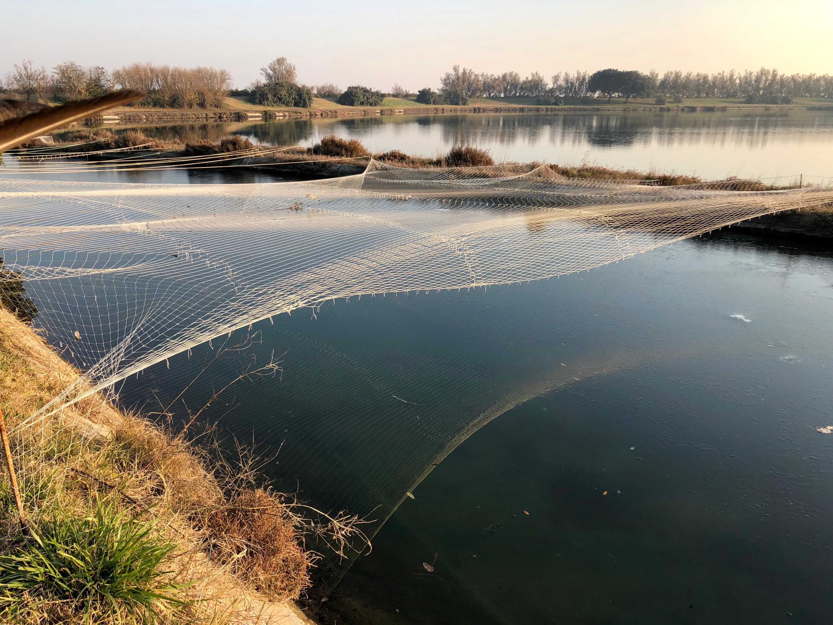 The fishing valleys at Isola Santa Cristina in the Venetian Lagoon.