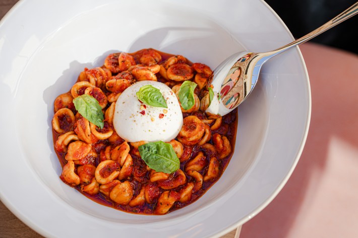 Orecchiette pasta in spicy tomato sauce.