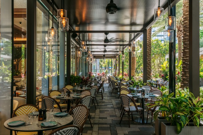 Outdoor dining patio at Serafina Miami Worldcenter, surrounded by plants and palm trees.