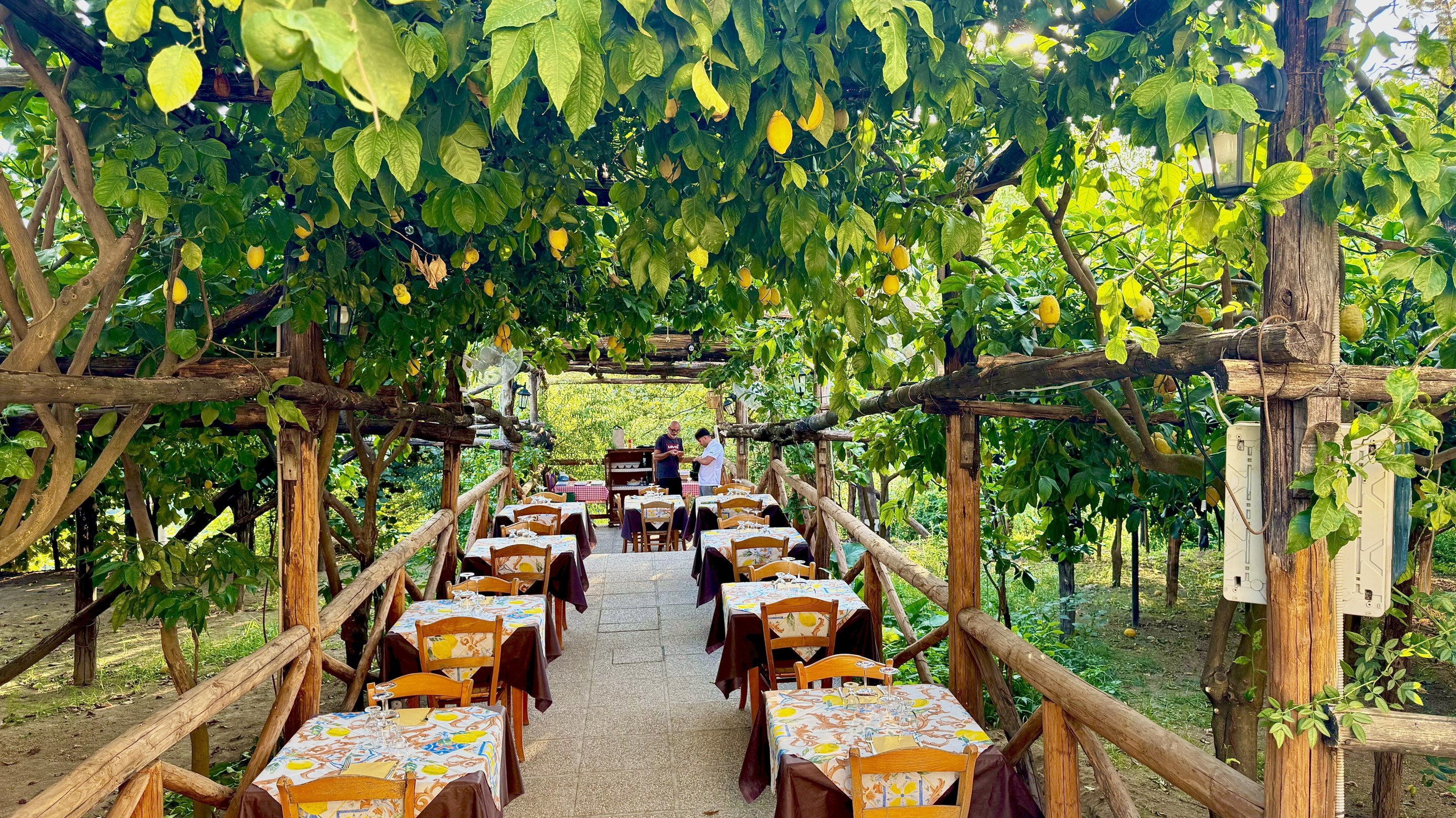 Outdoor dining area under lemon trees at Agriturismo da Regina on the Amalfi Coast