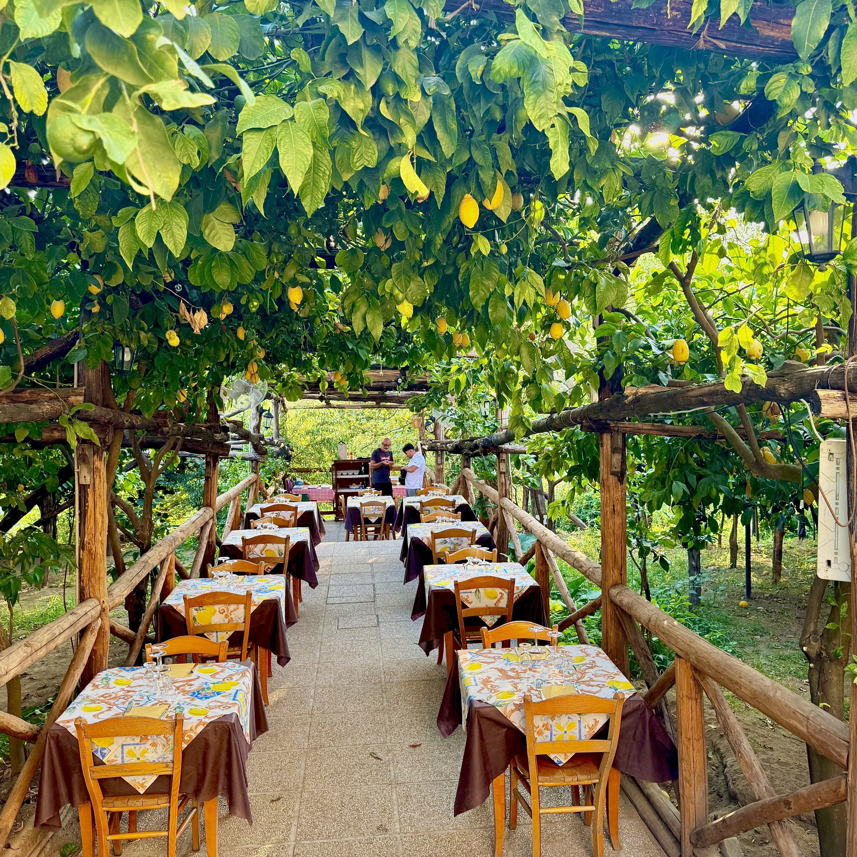 Outdoor dining area under lemon trees at Agriturismo da Regina on the Amalfi Coast
