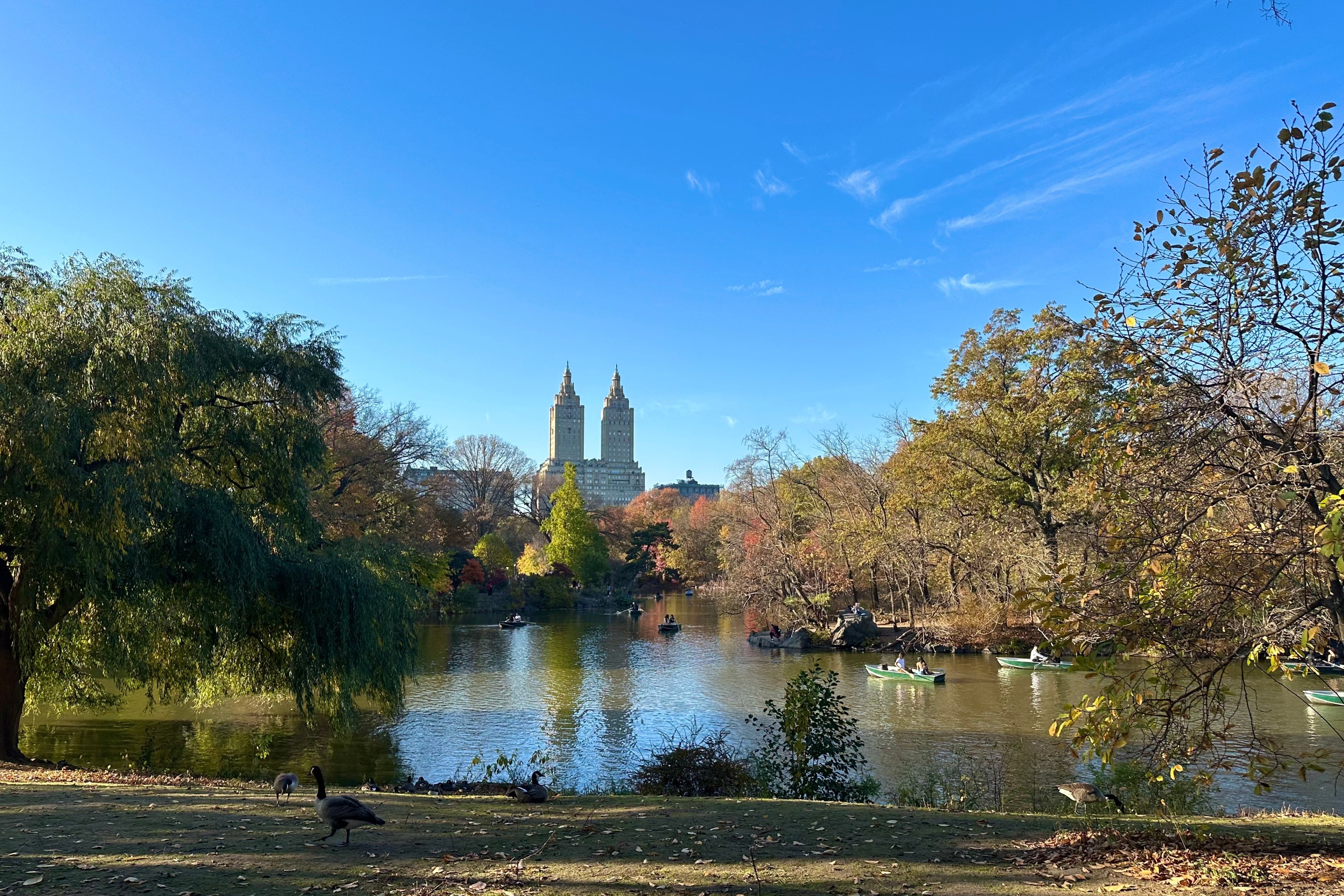 Rowboats glide across a quiet lake in Central Park on a crisp autumn day, framed by colorful fall foliage.
