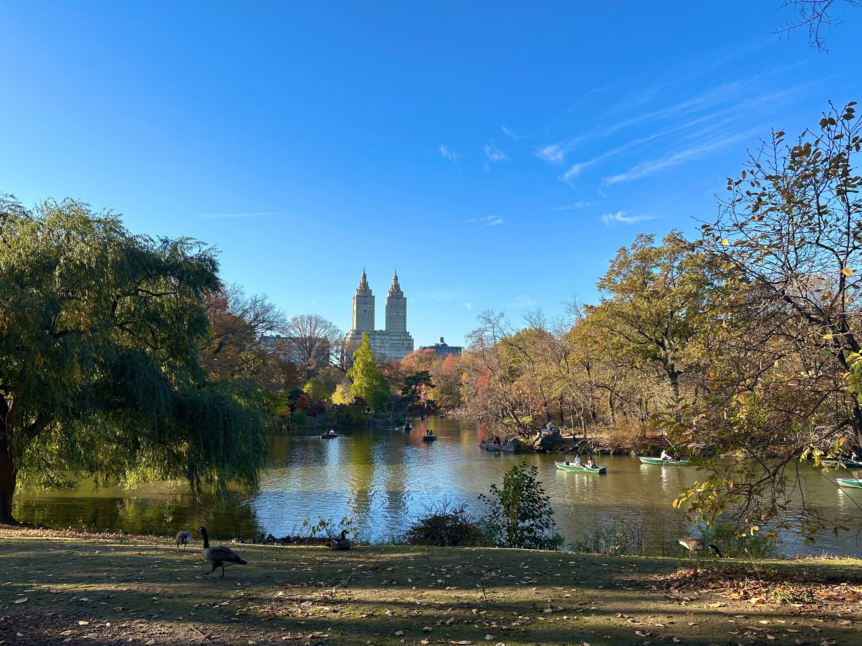 Rowboats glide across a quiet lake in Central Park on a crisp autumn day, framed by colorful fall foliage.