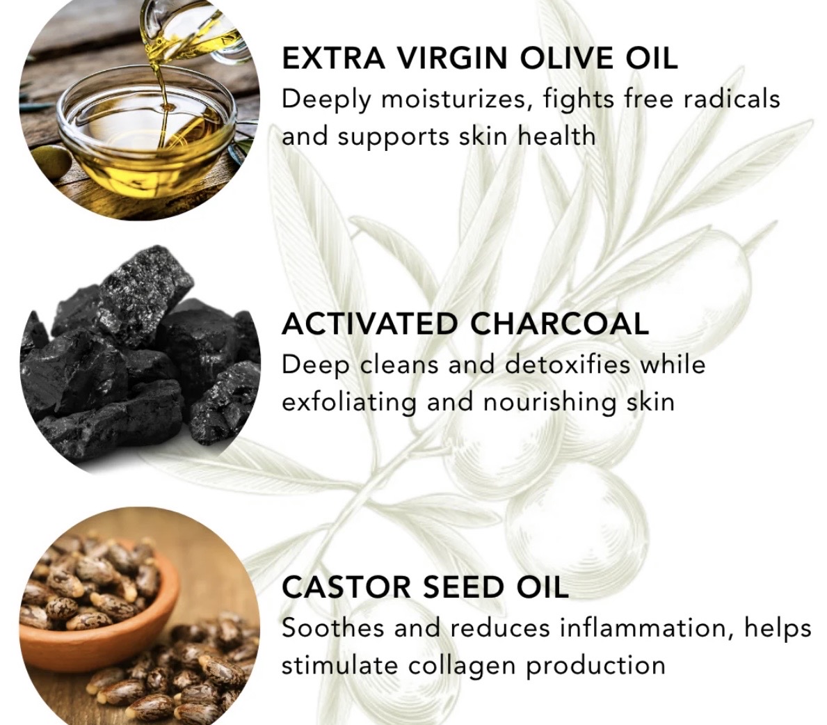 Susan Julia Olive Oil: Skincare Made with EVOO - Appetito