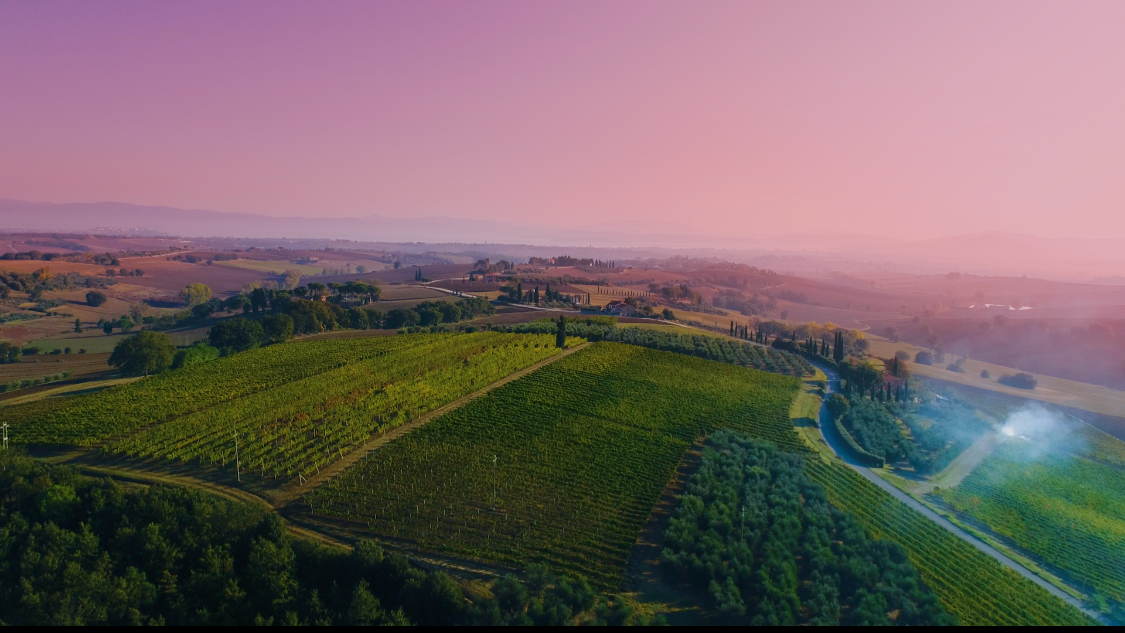 The rolling wine country of central Italy.