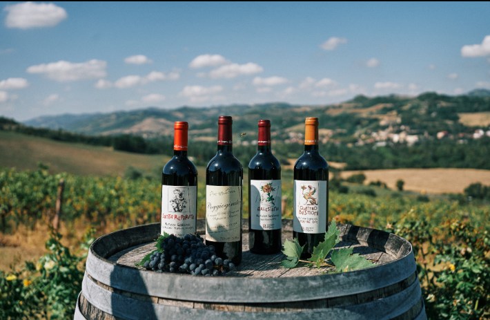 The Sangiovese di Romagna varietals at Poggio della Dogana.