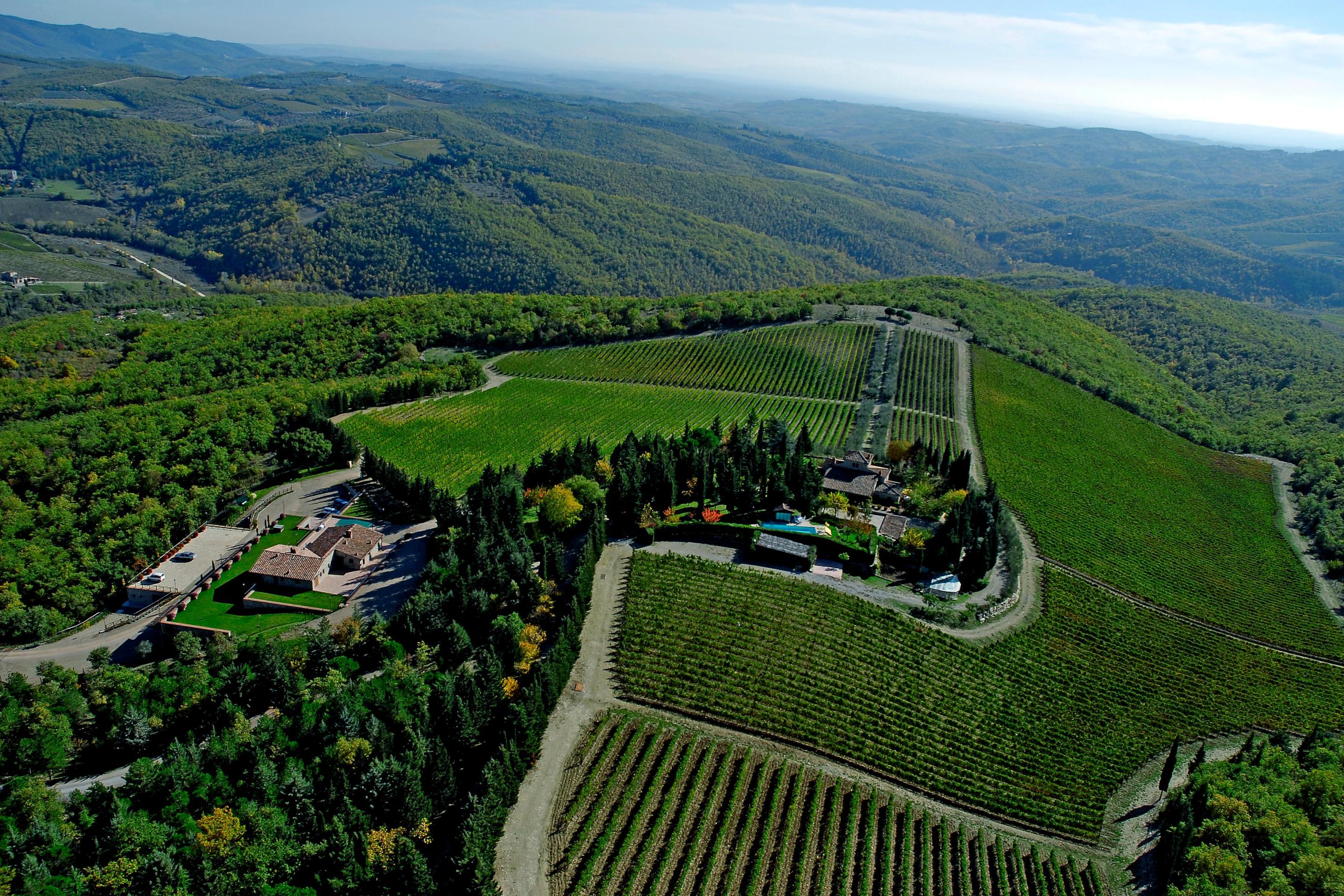The vineyards of Casalvento in Radda in Chianti.