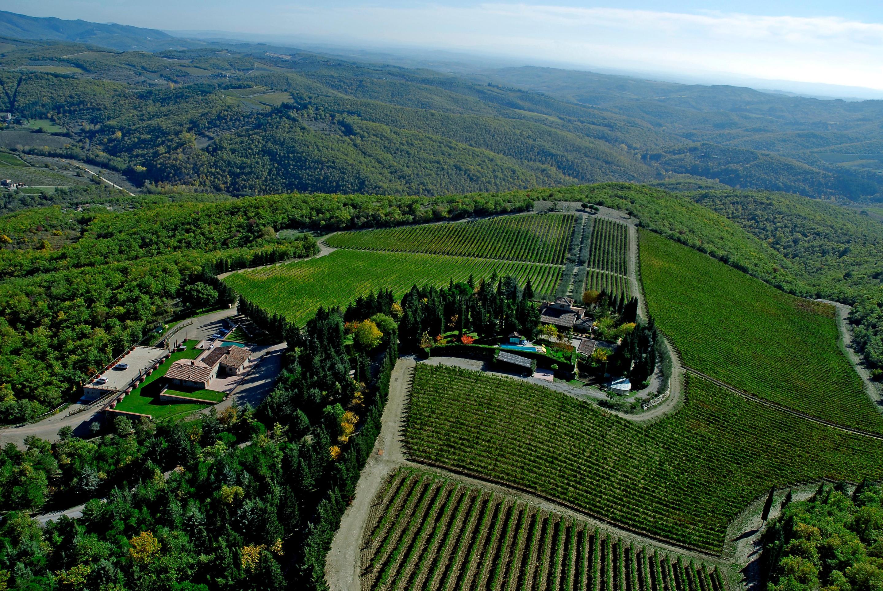 The vineyards of Casalvento in Radda in Chianti.