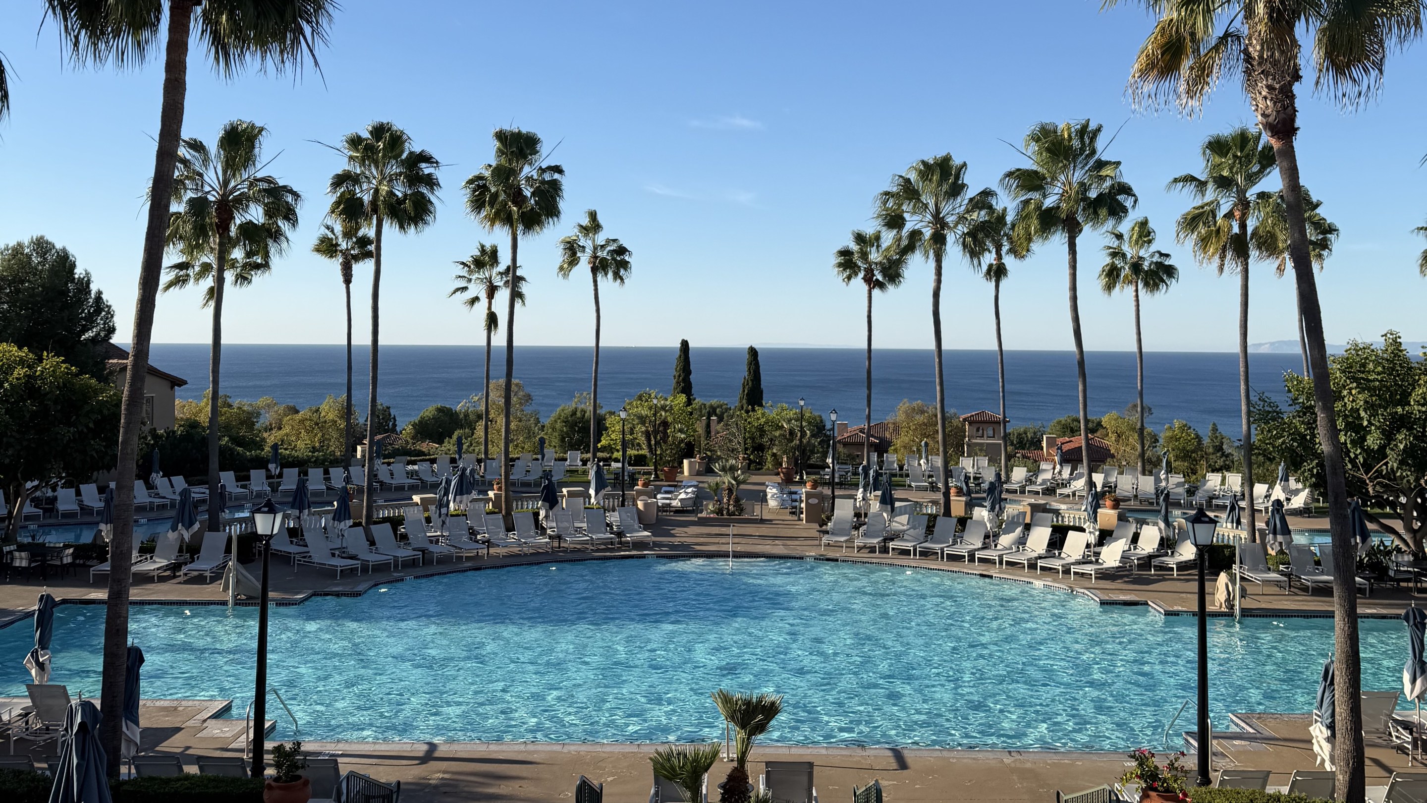 Oceanfront pool surrounded by palm trees overlooking the Pacific at the Marriott Newport Coast Villas