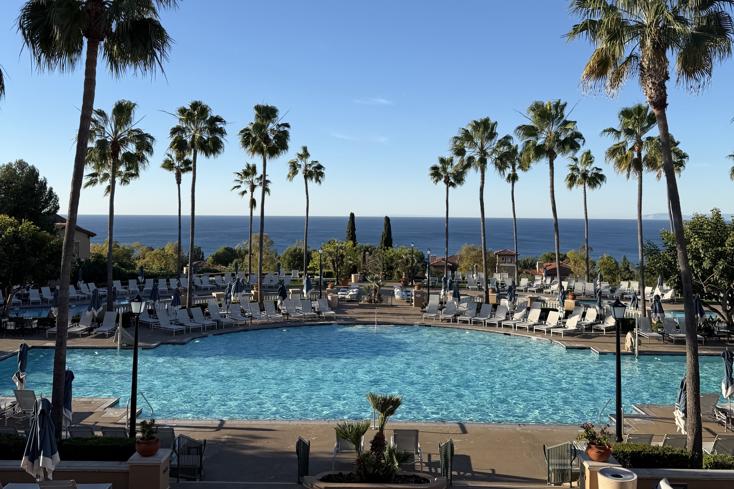 Oceanfront pool surrounded by palm trees overlooking the Pacific at the Marriott Newport Coast Villas