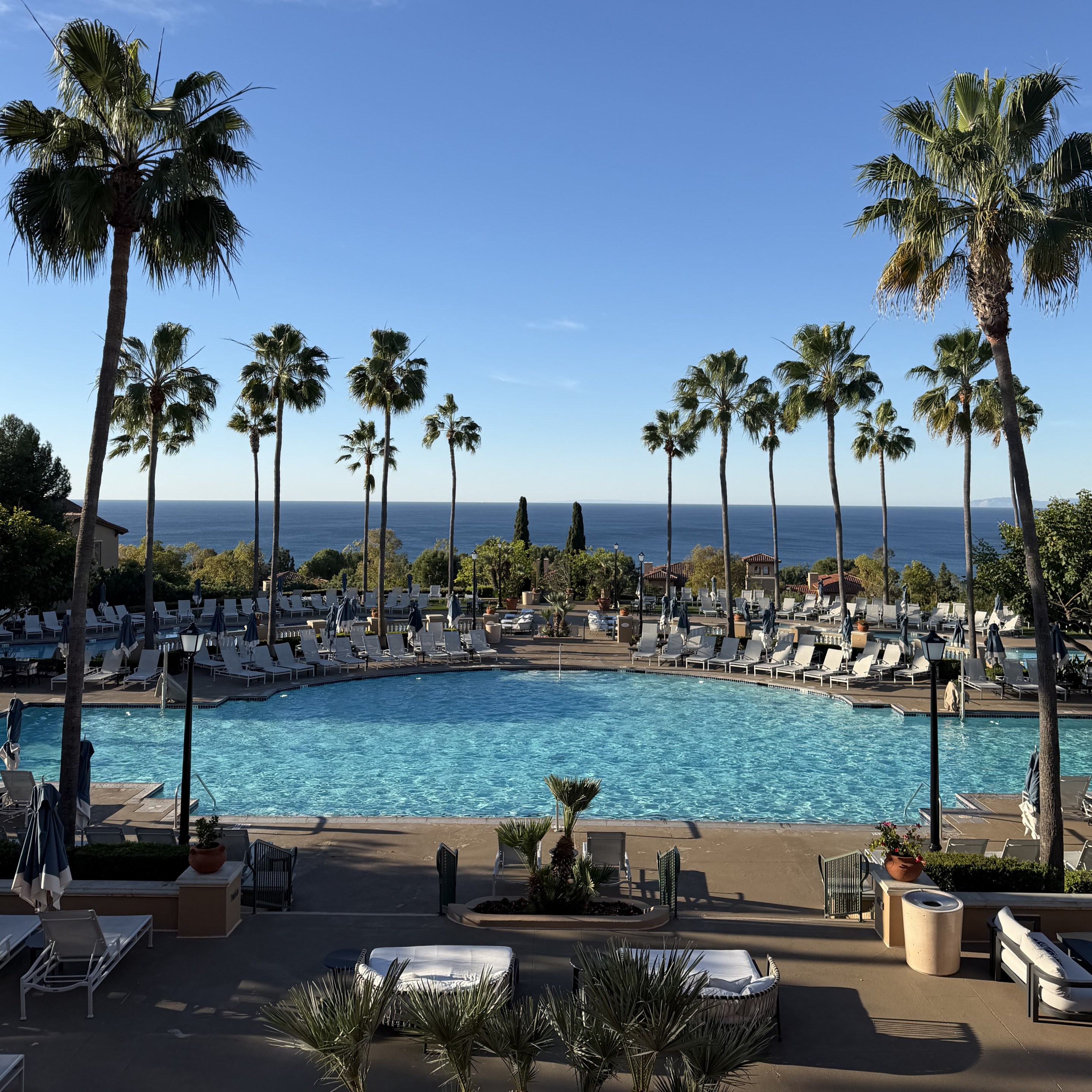 Oceanfront pool surrounded by palm trees overlooking the Pacific at the Marriott Newport Coast Villas