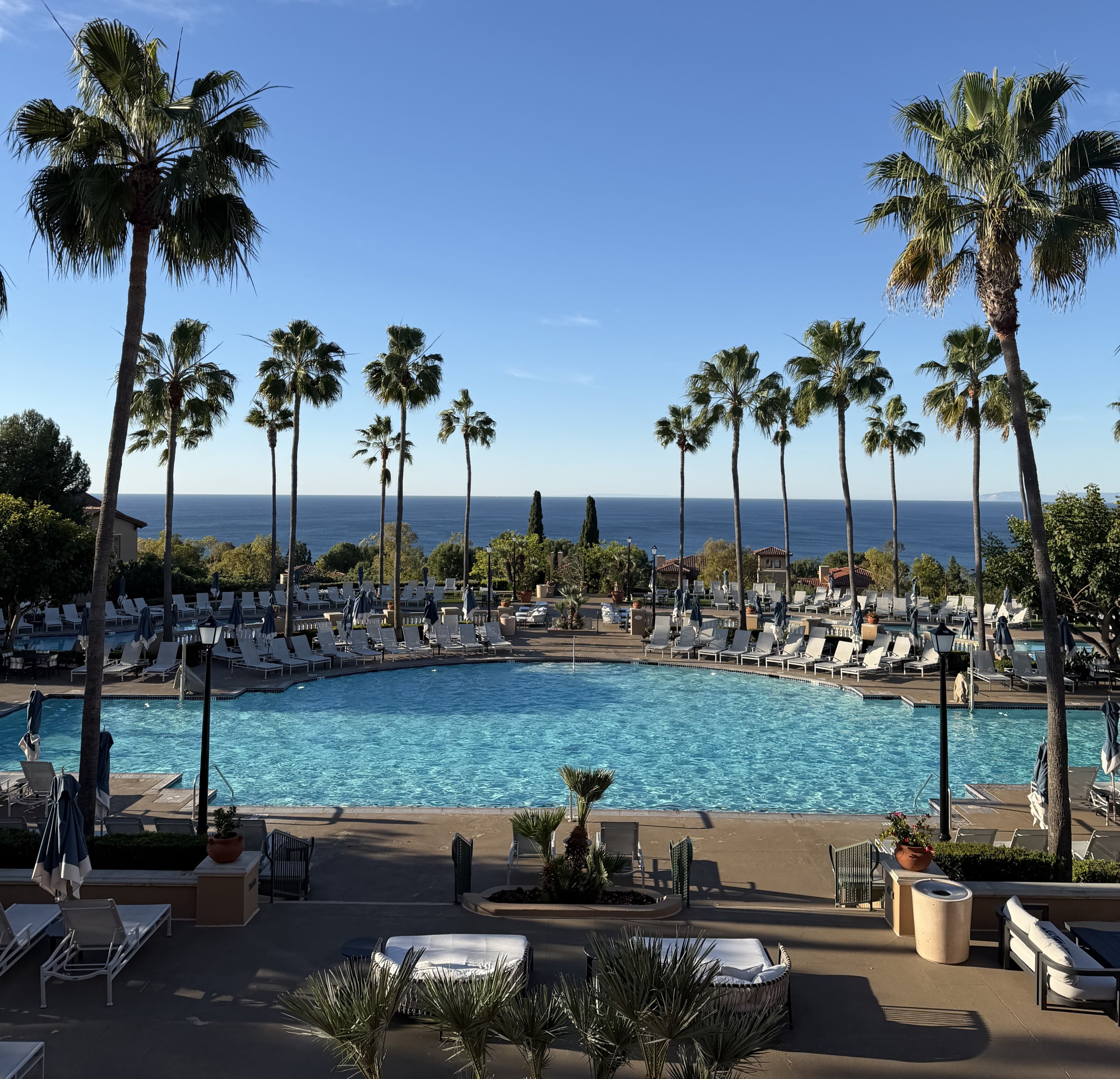 Oceanfront pool surrounded by palm trees overlooking the Pacific at the Marriott Newport Coast Villas