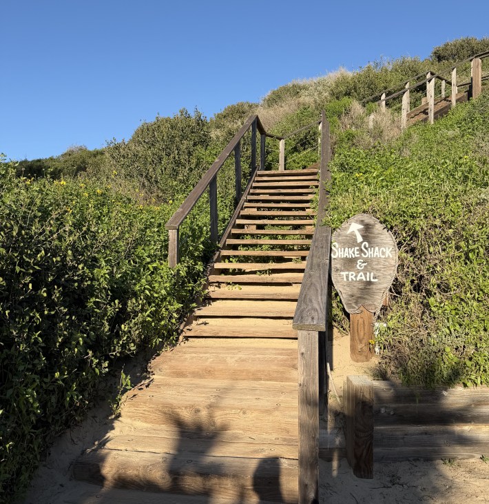 Wooden staircase leading to Shake Shack and coastal trail at Crystal Cove