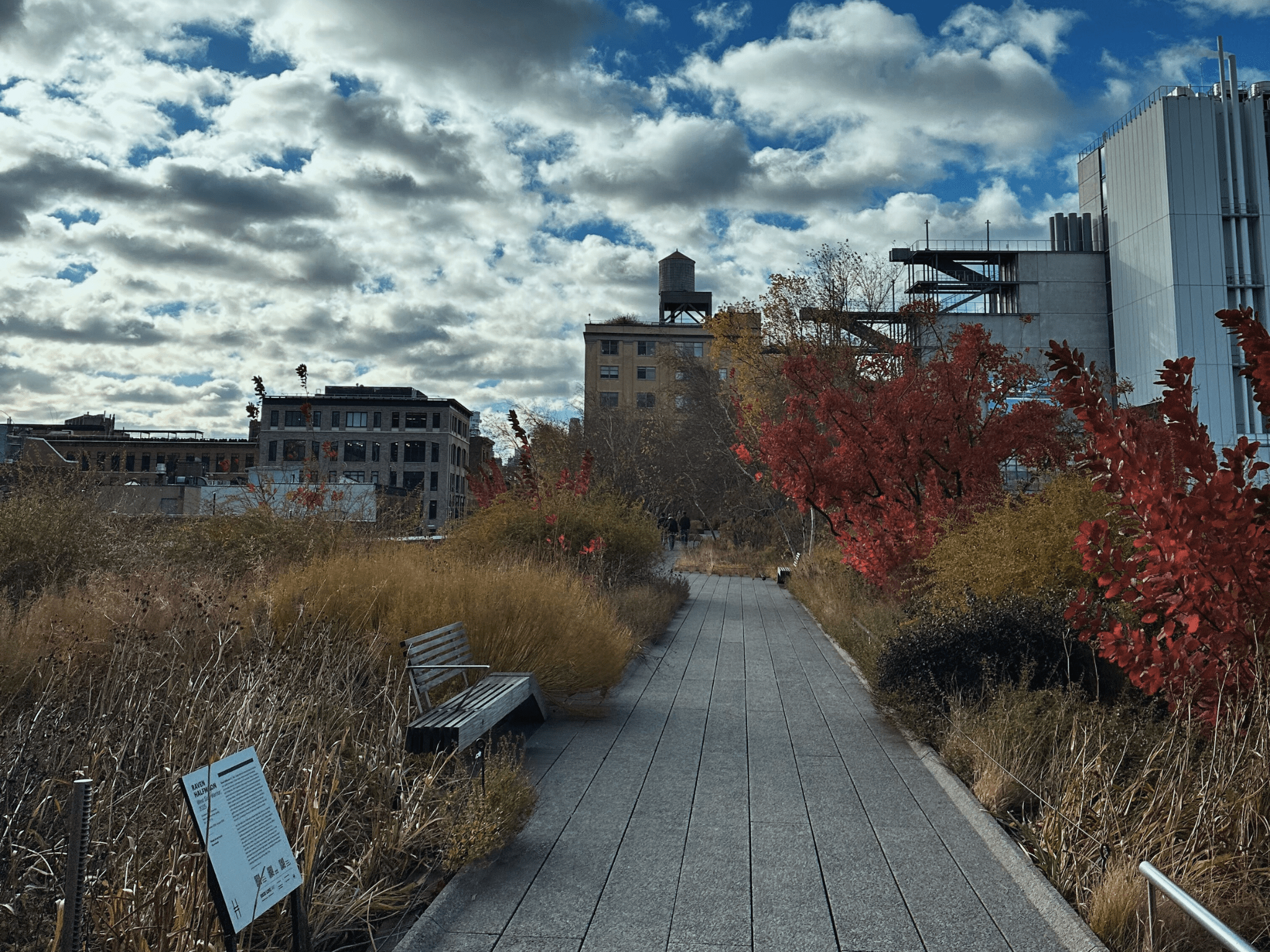 High Line walkway in New York City with skyline and fall foliage
