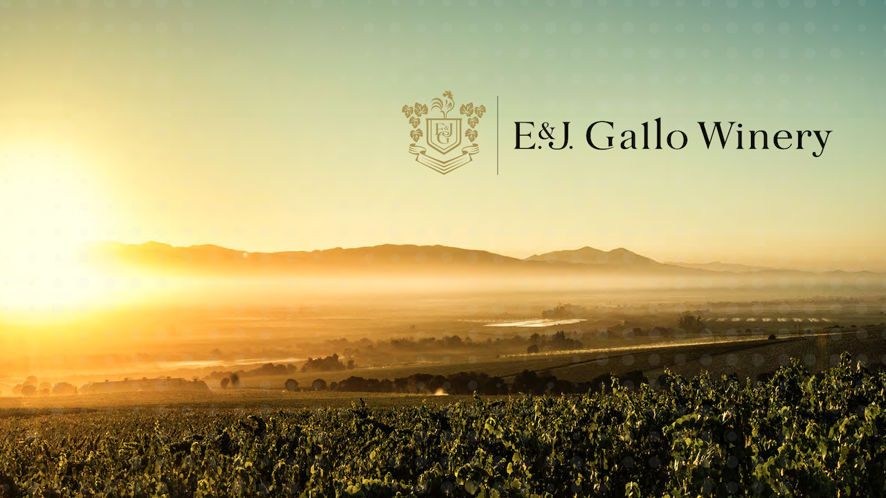 The homepage of E. & J. Gallo Winery's website.