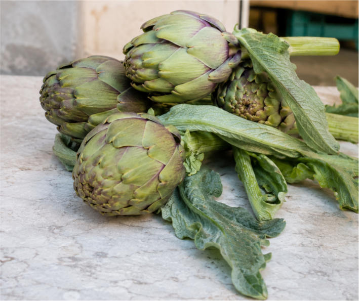 Fresh harvested artichokes in season.