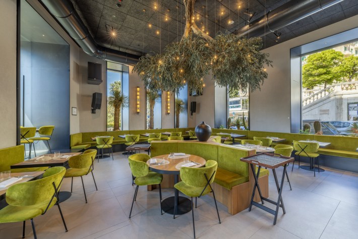 Overturned olive tree installation inside Rêve Bistrot at Europa Palace Hotel in Sanremo Italy
