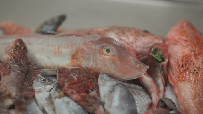 Fresh Mediterranean seafood in Sicily.