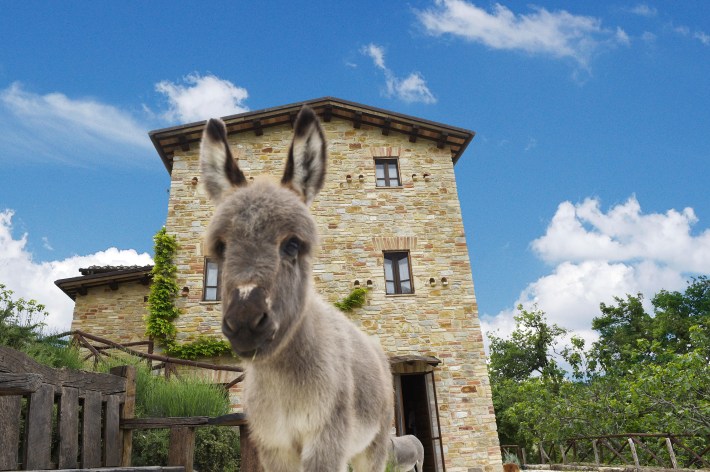 A donkeywelcomes visitors to Ramuse.