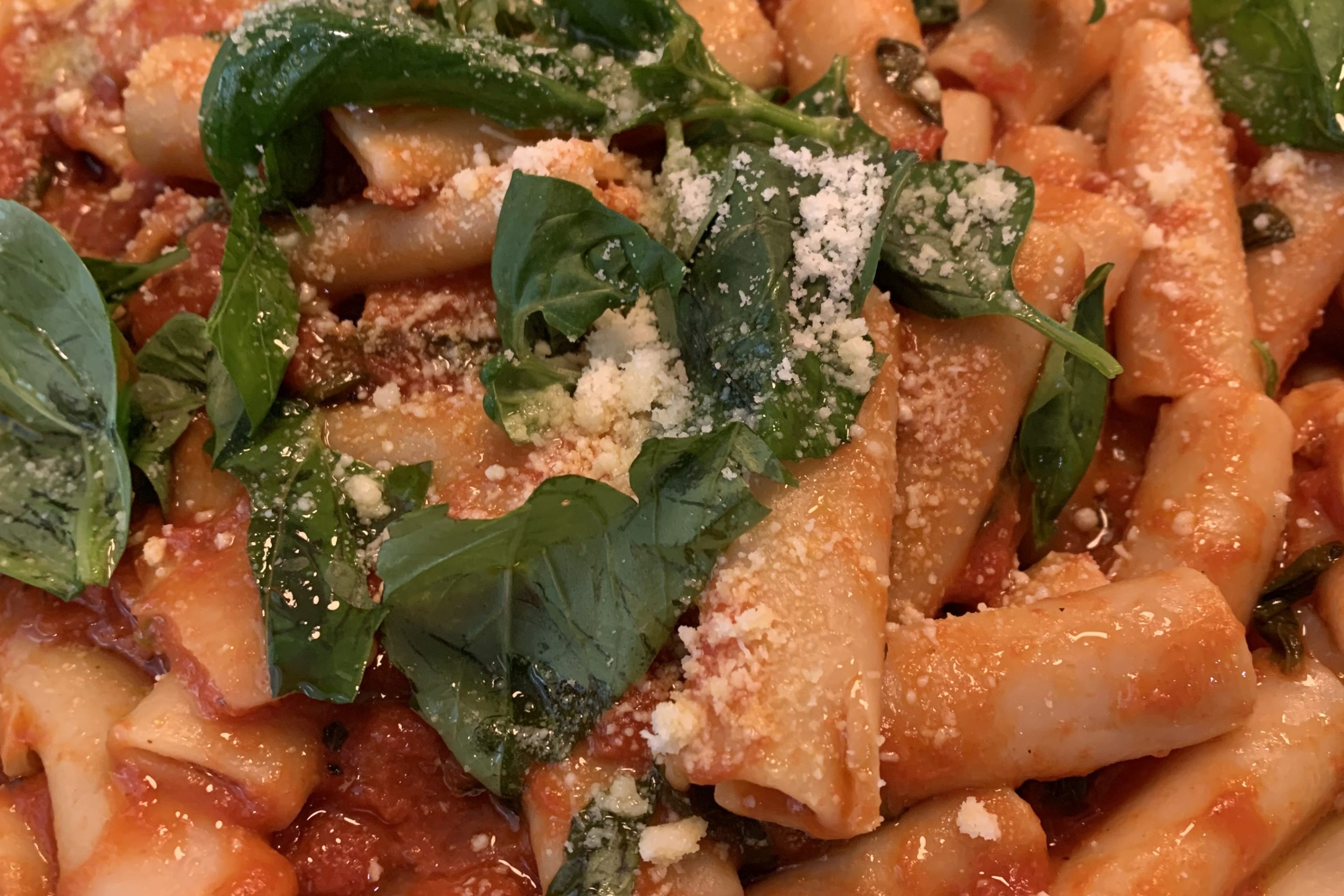 Rigatoni tossed in a fresh basil tomato sauce with torn basil leaves, grated Parmigiano Reggiano, and olive oil.