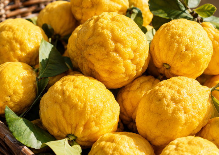 a close up of Sa pompìa, Sardinia’s rare and irregularly shaped citrus fruit