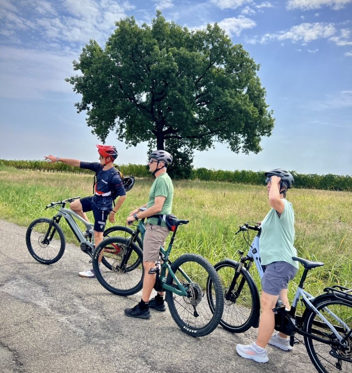 Cycling guide Tommaso pointing toward vineyards near Castelvetro di Modena