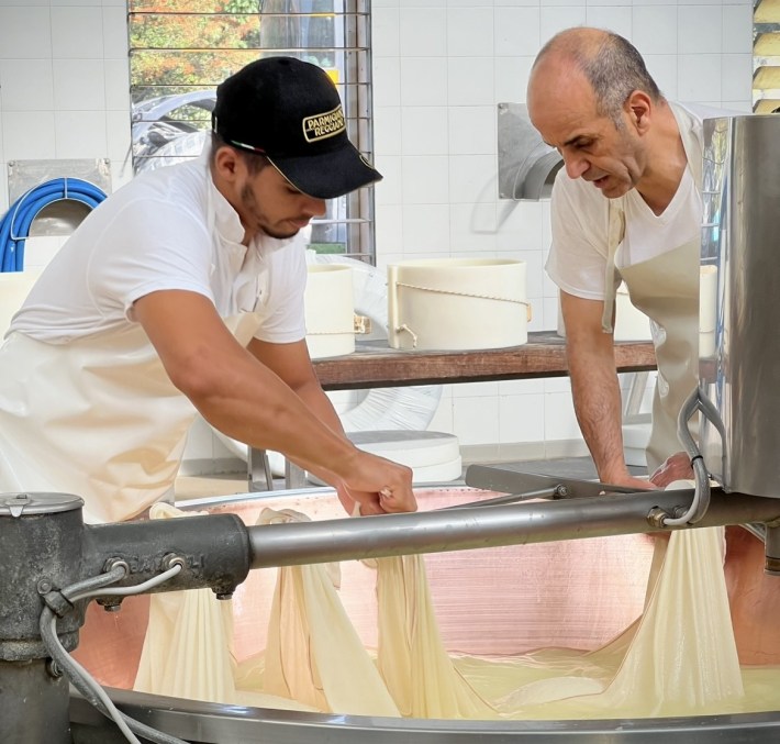 Parmigiano Reggiano wheels aging on wooden racks in a caseificio