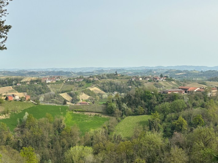 A view from the hills. Photo credit: Sue Sands