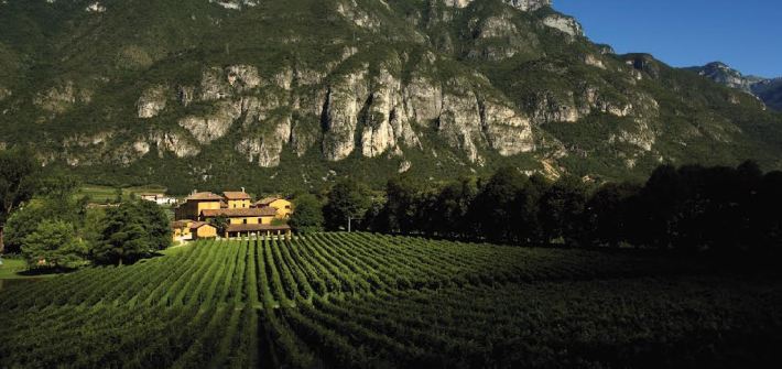 A view from the vineyards of the San Leonardo estate.
