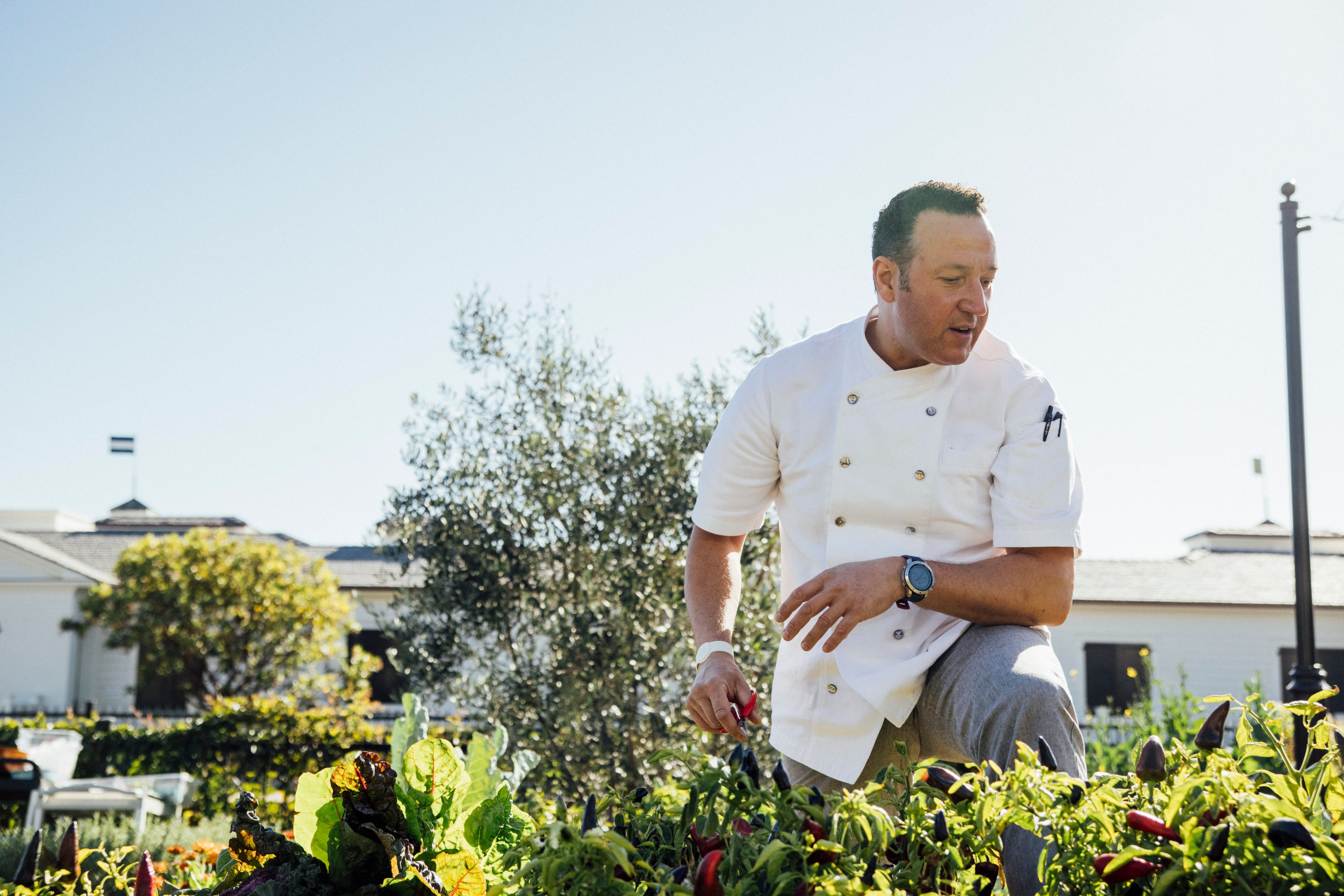 Chef Massimo Falsini in the garden at Rosewood Miramar Beach.