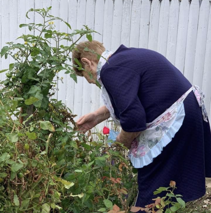 Maria DelVecchio’s mother, Rosina, tending her garden