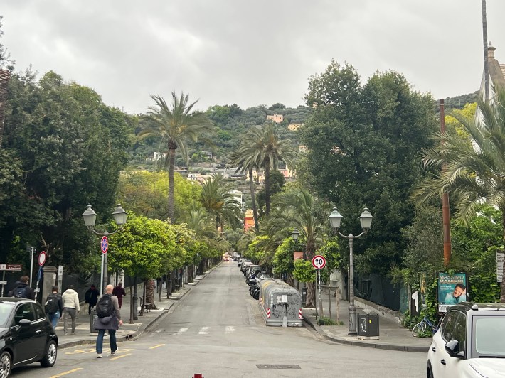 Palm-lined Viale delle Palme in Genoa Nervi